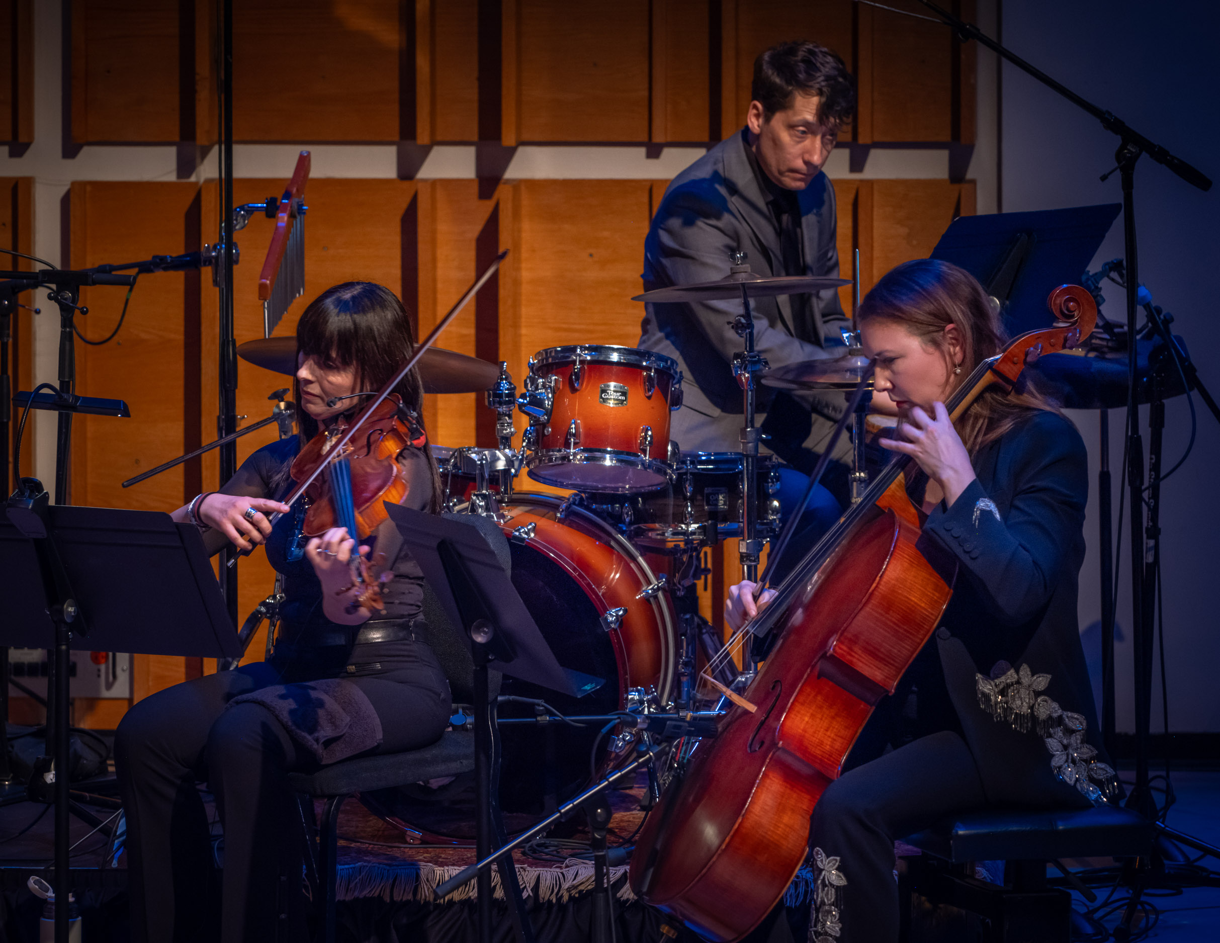 Concert photo 8